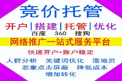 解析sem代运营公司经典案例：如何实现ROI最大化